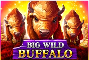 Belatra Games Big Wild Buffalo