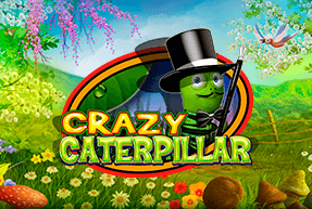 CTInteractive | Crazy Caterpillar