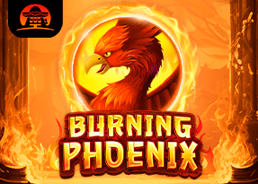 AmigoGaming | Burning Phoenix