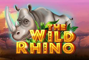 CTInteractive | THE WILD RHINO