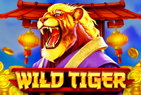 BGaming | Wild Tiger