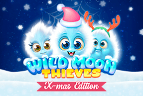 BGaming | Wild Moon Thieves