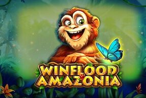 CTInteractive | Winflood Amazonia