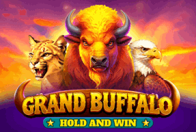 BGaming | Grand Buffalo Hold and Win