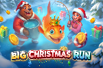 Arrow’s Edge | Big Christmas Run