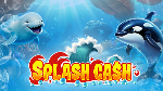 Arrow’s Edge | Splash Cash